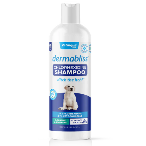 Vetnique Labs Dermabliss Anti-Bacterial & Anti-Fungal Chlorhexidine Shampoo - 16 oz