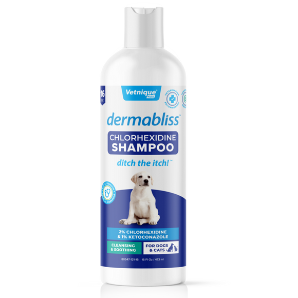 Vetnique Labs Dermabliss™ Anti-Bacterial & Anti-Fungal Chlorhexidine Shampoo (16 oz)