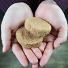 Stella & Chewy's Freeze-Dried Raw Dinner Patties for Dogs - Dandy Lamb Recipe