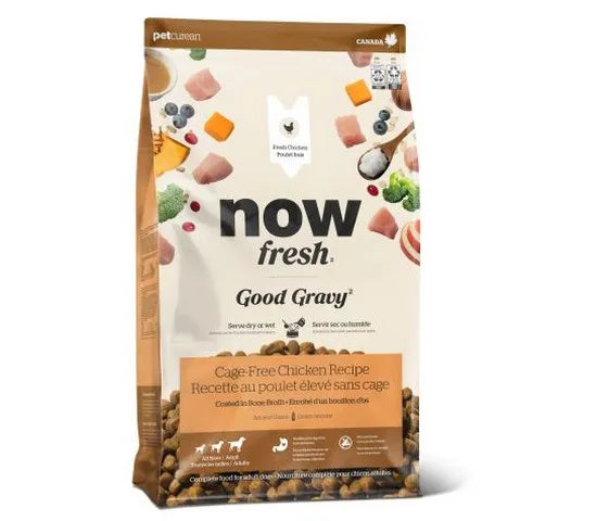 Petcurean Now Fresh Good Gravy Chicken Dry Dog Food