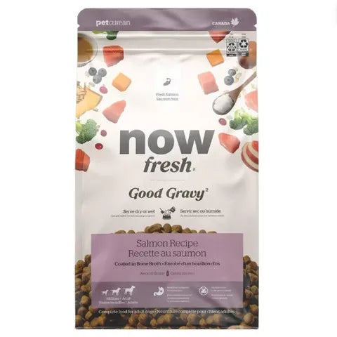 Petcurean Now Fresh Good Gravy Salmon Dry Dog Food