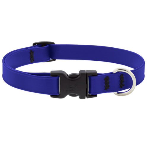 Lupine Splash Waterproof Dog Collars