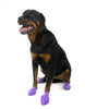 Protex PawZ Black Rubber Dog Boots