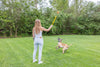 Project Hive Pet Company Hive Zoomer Dog Toy Launcher & Looped Ball