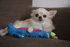 GODOG DRAGON SKINNY DURABLE PLUSH DOG TOY