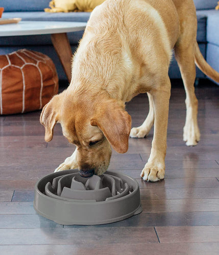 Outward Hound Fun Feeder Slo-Bowl for Dogs