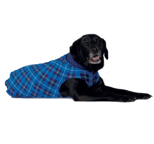 Goldpaw Double Fleece Blue Plaid/Navy*