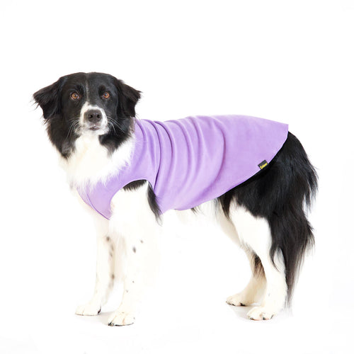 Goldpaw Fleece Lavender