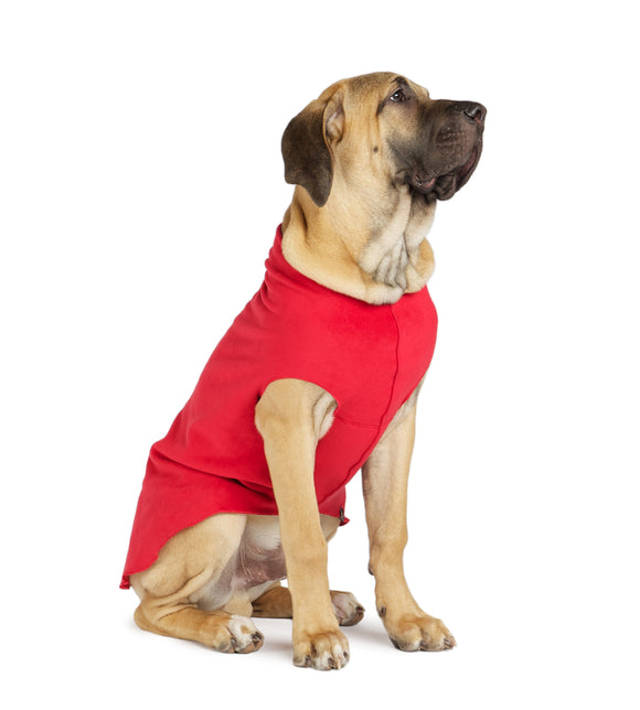 Gold Paw Single Stretch Fleece Red