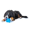 GURU Puzzle Jack Dog Toy