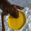 Project Hive Pet Company Hive Disc + Lick Mat Dog Toy