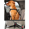 EzyDog Seat Belt Restraint Black