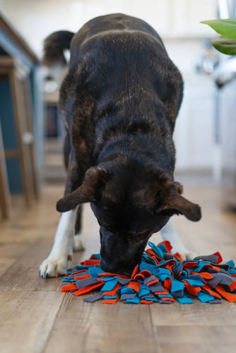 Mess Mutts Round Forage/Snuffle Mat 15