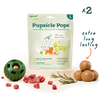 Woof Pupsicle Chicken Pops Refill