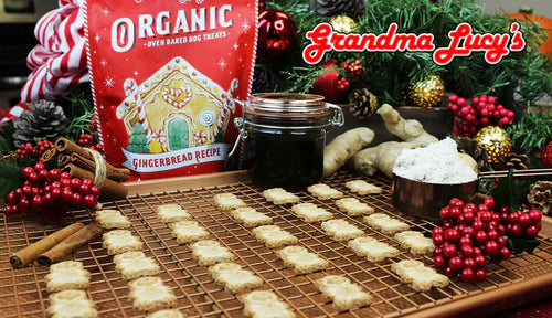 Grandma Lucy's Organic Gingerbread Recipe Dog Treats