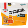 Primal Pumpkin for my Pumpkin Dog Treats