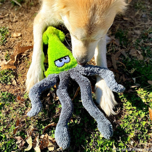 Cycle Dog Duraplush Squid Dog Toy