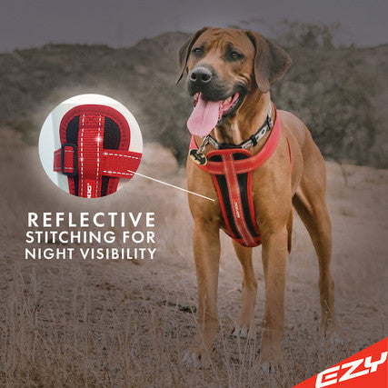 EzyDog Chest Plate Harness Blue