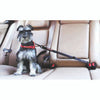 EZYDOG CLICK™ ADJUSTABLE CAR RESTRAINT