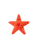 Fluff & Tuff Ziggy Starfish Toy