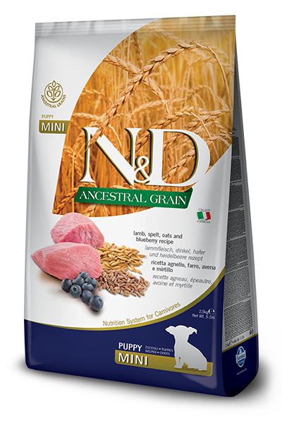 Farmina N&D Ancestral Grain Puppy Mini Lamb & Blueberry