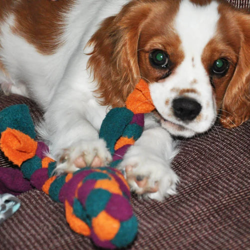 Knots of Fun Mini Tug Toy