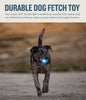 Planet Dog Orbee-Tuff Strobe Light Up Ball