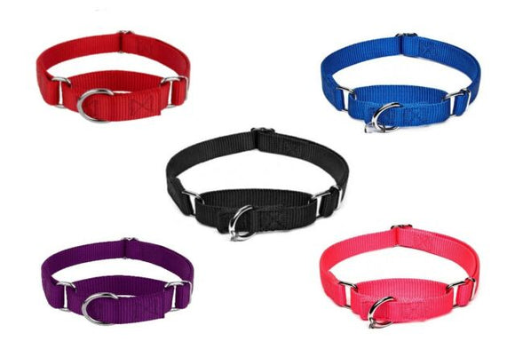 Lupine Pet Basic Solids Martingale Training Collar