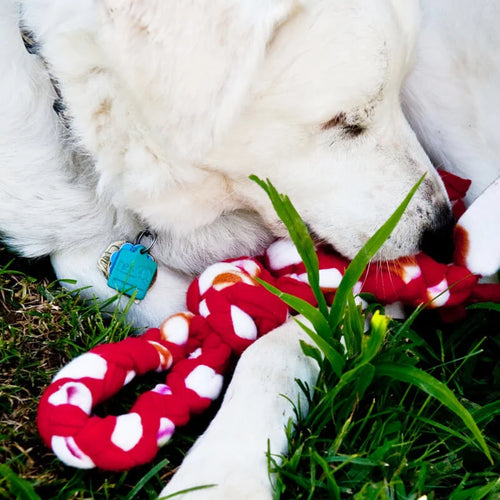 Knots of Fun Tug Toy